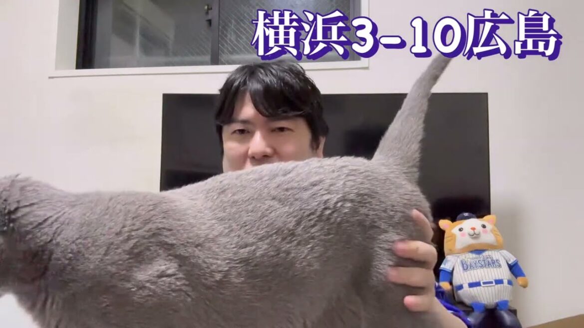 DeNA。広島にボコボコにされてまた連敗。広島のうまさばかりが目立った試合。 #横浜denaベイスターズ DeNA。広島にボコボコにされてまた連敗。広島のうまさばかりが目立った試合。 #横浜denaベイスターズ