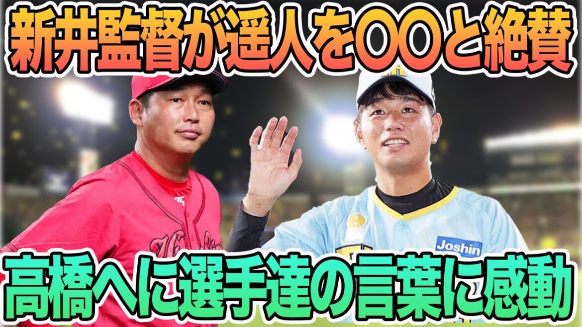 【新井監督が高橋遥人を〇〇と絶賛】高橋への選手達の言葉に感動　＃阪神　＃阪神タイガース  #岡田監督 　#佐藤輝明 　　#岡田監督　 #高橋遥人 　＃前川右京　＃一問一答　＃岡田語録　＃新井監督