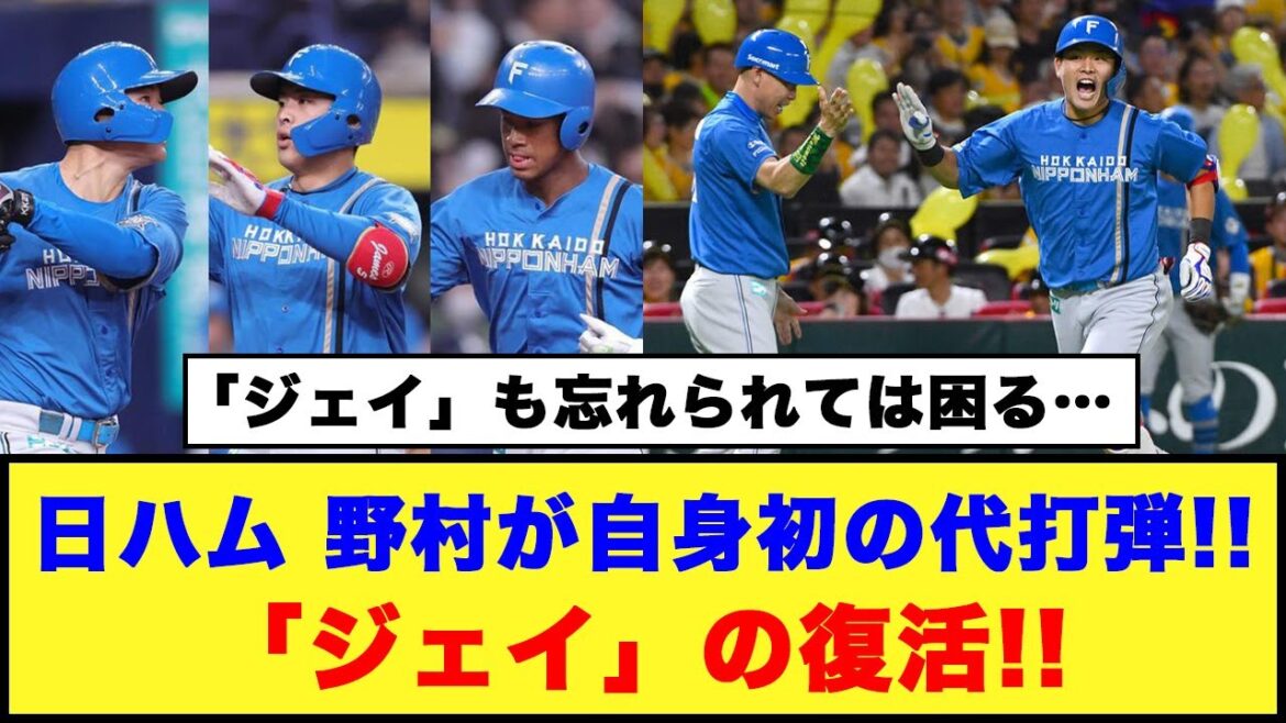 【意地の一発】日本ハム、野村が自身初の代打弾！！「ジェイ」の復活【プロ野球反応集】#日本ハムファイターズ #野村佑希 #万波中正 #清宮幸太郎