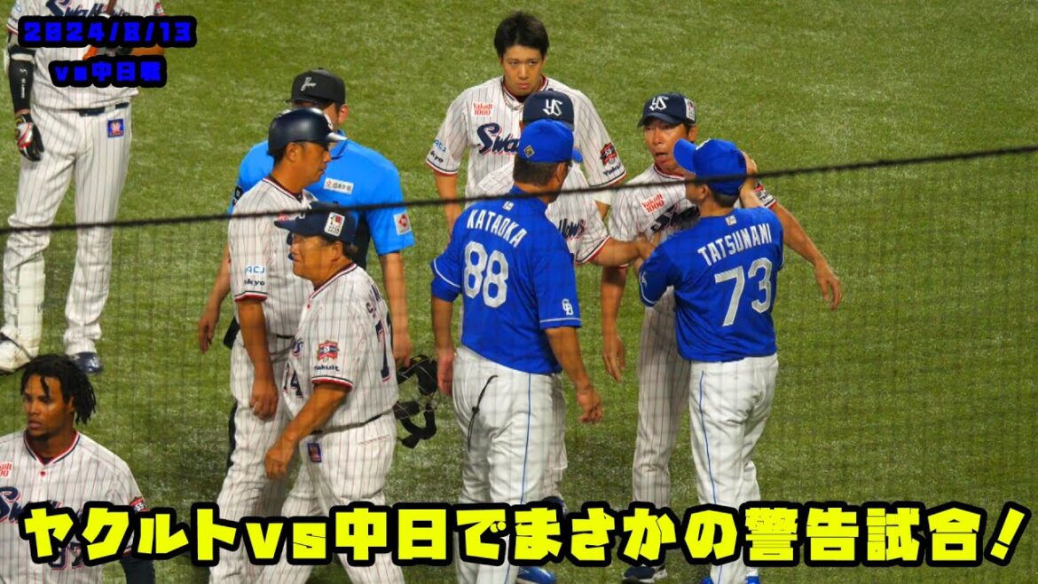 ヤクルトvs中日で警告試合！両チームが入り乱れる！！　2024/8/13 vs中日