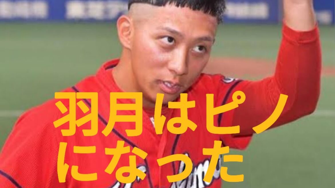 【速報】本日のカープ対タイガース戦の感想　2024年7月4日 羽月選手がピノのような走塁でした。