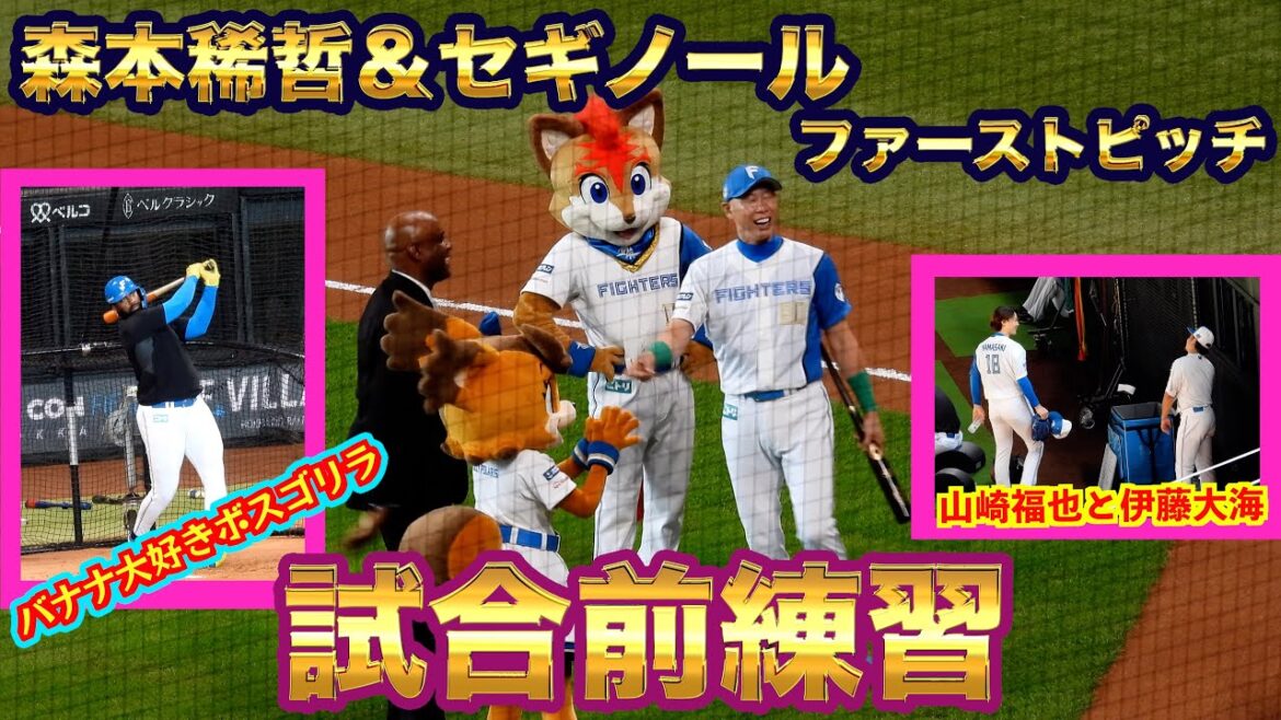 【20240812】試合前練習まとめ＋セギノールファーストピッチ（宮西尚生、山崎福也、伊藤大海など）