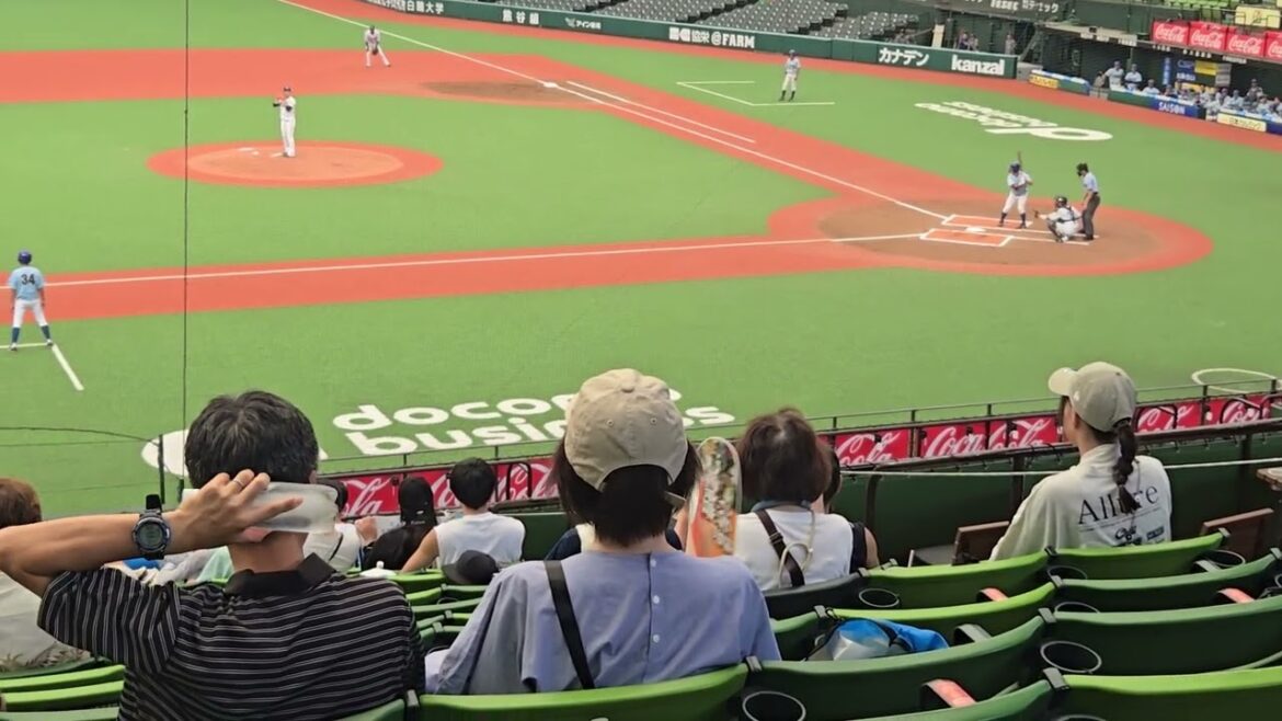 20240811　城西国際大　菱田 万尋　西武　伊藤 翔　右安打