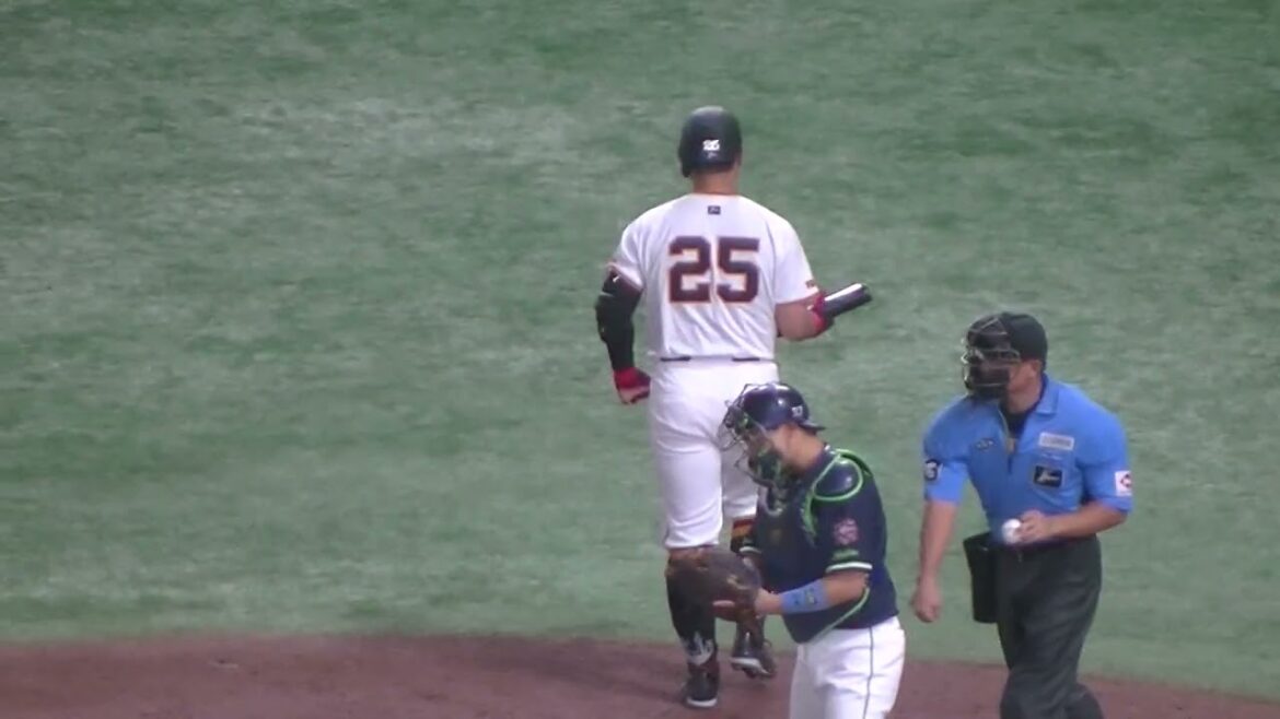 岡本和真と大城卓三を抑える大西広樹（2024年8月3日読売ジャイアンツ対ヤクルトスワローズ）