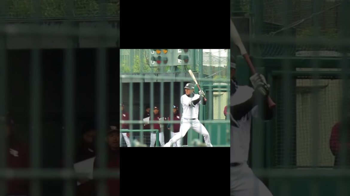 ロッテ 角中勝也2024バッティングフォーム（春季教育リーグ 千葉ロッテマリーンズ対 楽天ゴールデンイーグルス） ＃2024年3月5日