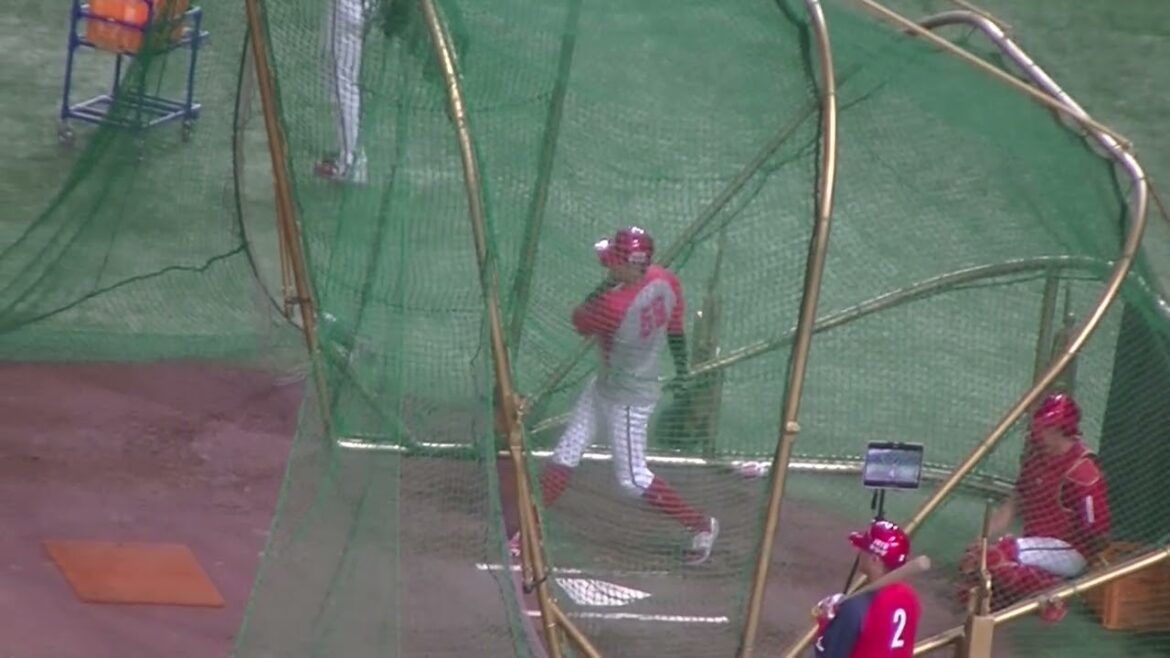 カープ大盛穂フリーバッティング【読売ジャイアンツ対 広島東洋カープ  2024年8月6日】