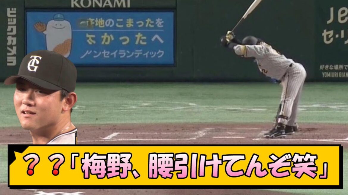 【阪神】？？「梅野、腰引けてんぞ笑」【なんJ/2ch/5ch/ネット 反応 まとめ/阪神タイガース/岡田監督】