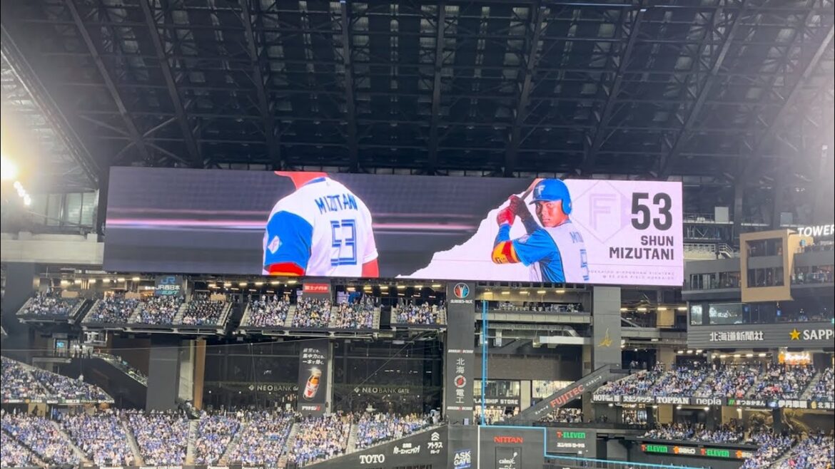 2024 ファイターズ 水谷瞬 登場曲  Back Stage (feat. Tiji Jojo)/YZERR #lovefighters