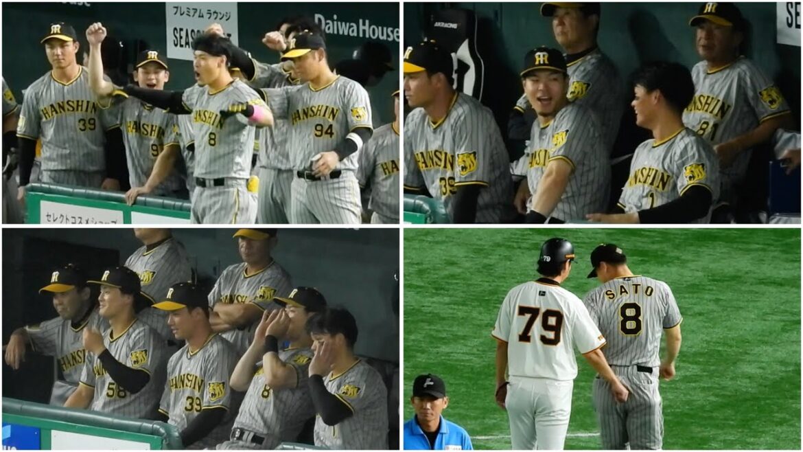 【ベンチでリラックス】久々にスタメンを外れた佐藤輝明、ベンチで笑顔を見せながら仲間を応援。途中、亀井コーチから声をかけられ激励の尻叩きをされる 2024.8.13