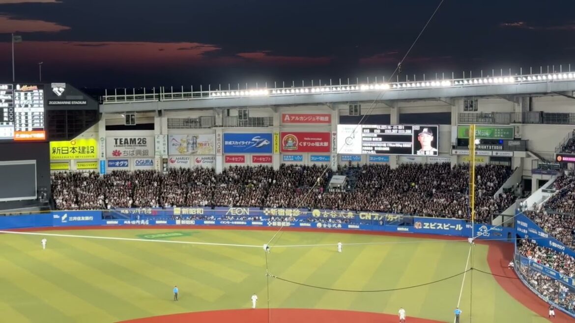 【千葉ロッテマリーンズ】石川慎吾 応援歌　2024/8/12