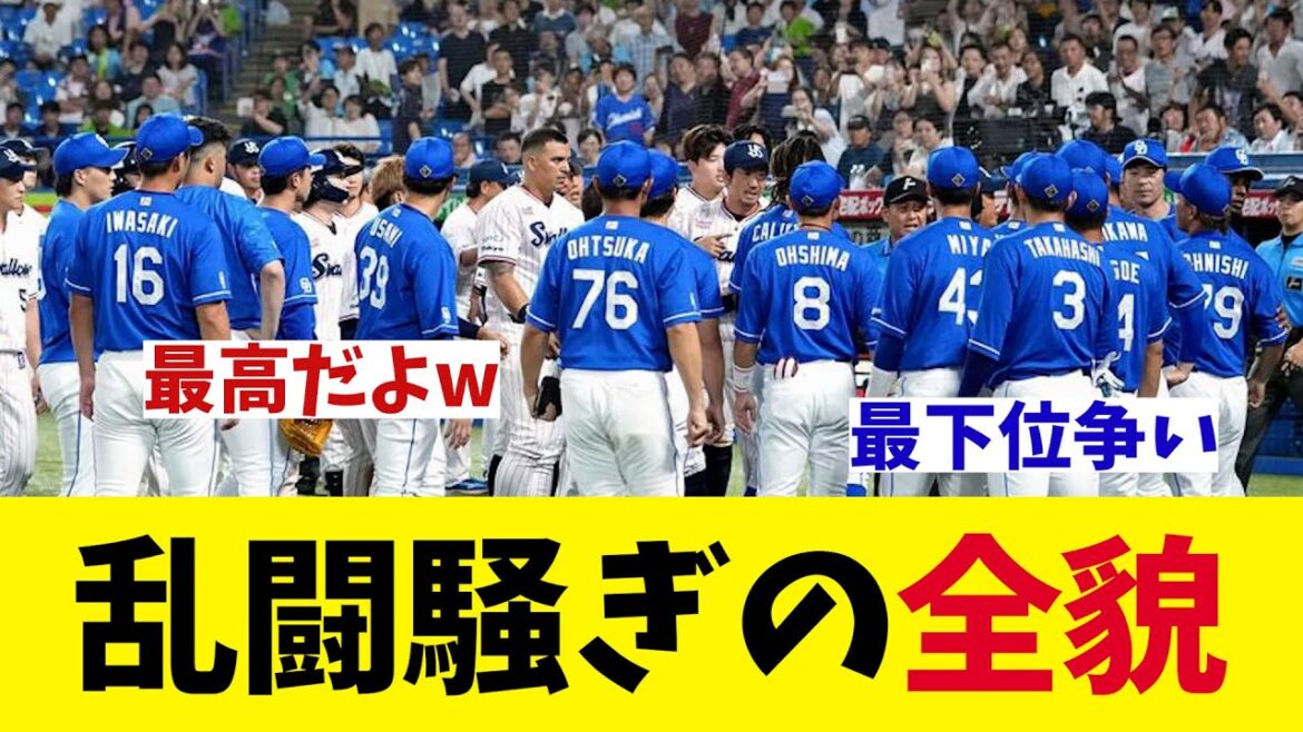 ヤクルト対中日　乱闘騒ぎの全貌が明らかに！！！【野球情報】【2ch 5ch】【なんJ なんG反応】【野球スレ】