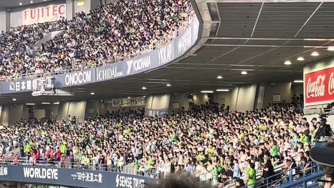 2024.6.16ヤクルトチャンステーマ？〜松本直樹応援歌【京セラドーム大阪】