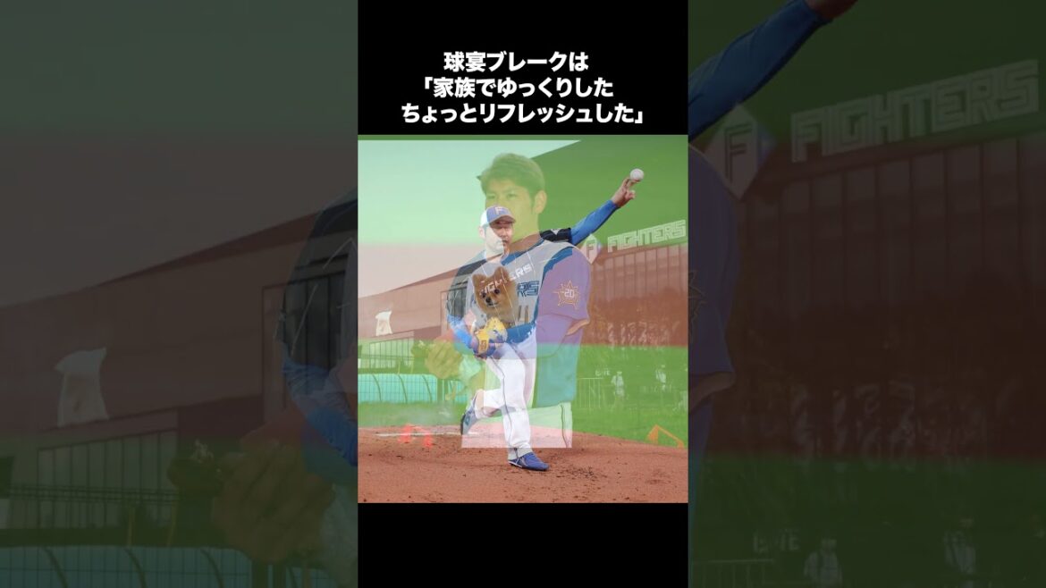 【日本ハム】加藤貴之「勢いを途切れないようにしたい」【日本ハム反応集】【ネットの反応】 #日本ハムファイターズ #加藤貴之 #伏見寅威 #shorts