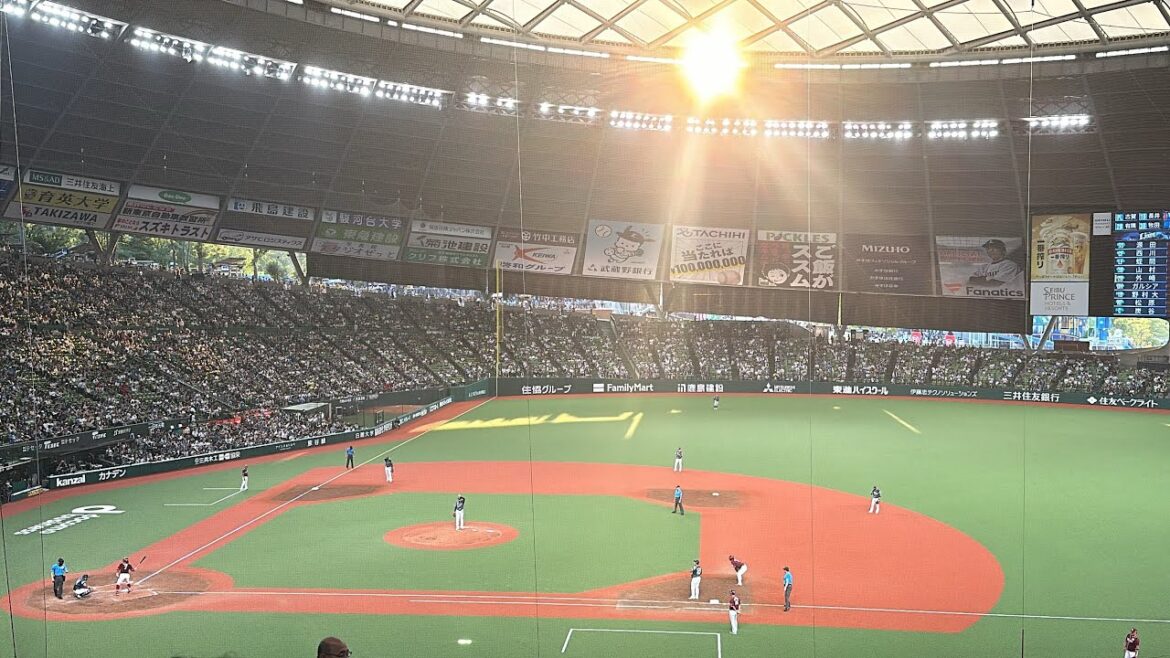 【ドーム球場の中なのに眩しすぎる…】カブレラはこの太陽の場所にホームランを当てたと思うととんでもないですね【西武vs楽天】2024/8/3 ライオンズフェスティバルズ 【ドーム球場の中なのに眩しすぎる…】カブレラはこの太陽の場所にホームランを当てたと思うととんでもないですね【西武vs楽天】2024/8/3 ライオンズフェスティバルズ