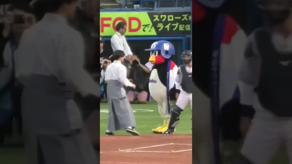 内山壮真、白濱亜嵐さんに握手してもらう #東京ヤクルトスワローズ  #shorts