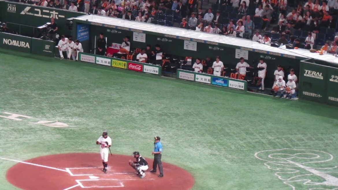 立岡宗一郎のヒットと喜ぶジャイアンツベンチ選手たち（読売ジャイアンツ対 千葉ロッテマリーンズ2024年6月4日