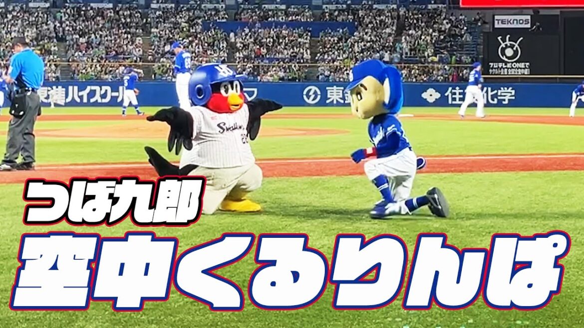 真夏の9連戦ラスト！つば九郎空中くるりんぱ｜2024年8月14日 中日戦（神宮球場）