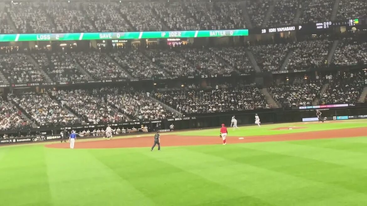 オールスター2024 ポランコ ホームランワイパー&応援歌