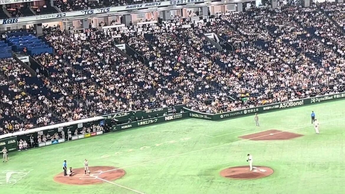 2024.8.13熊谷敬宥応援歌(汎用)【東京ドーム】