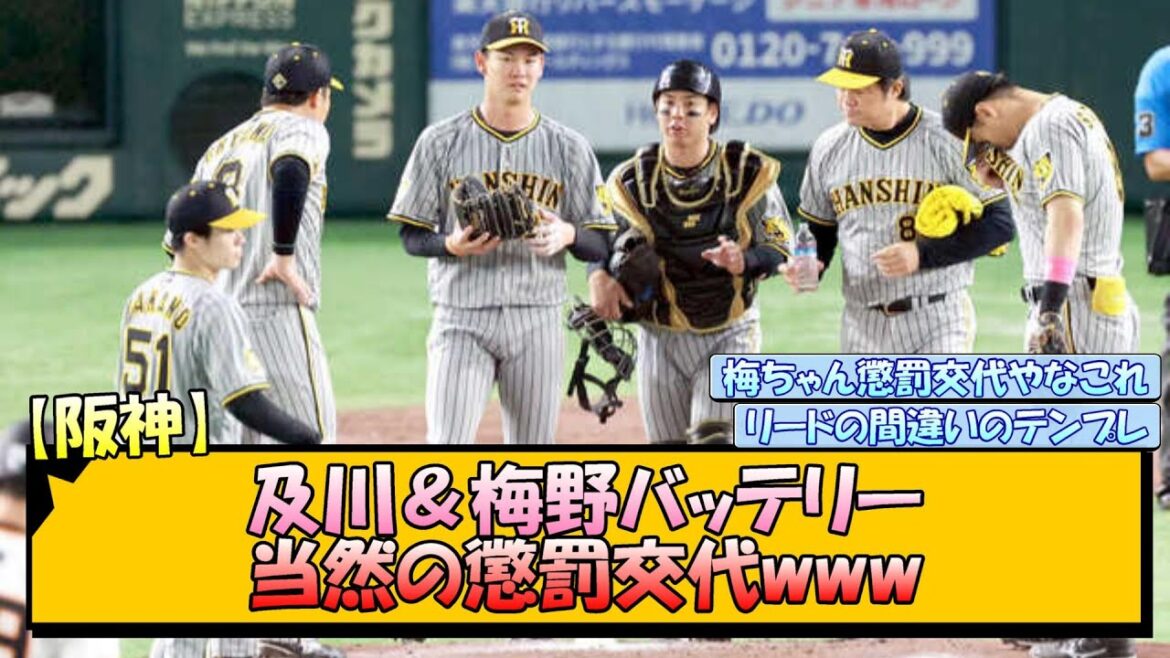【阪神】及川＆梅野バッテリー 当然の懲罰交代www【なんJ/2ch/5ch/ネット 反応 まとめ/阪神タイガース/岡田監督/梅野隆太郎】