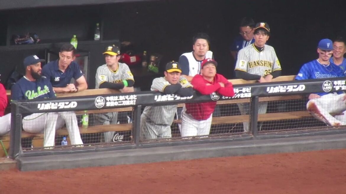 【セ・リーグベンチ】仲良く話してる栗林良吏と桐敷拓馬 2024年7月24日 マイナビオールスターゲーム エスコンフィールド