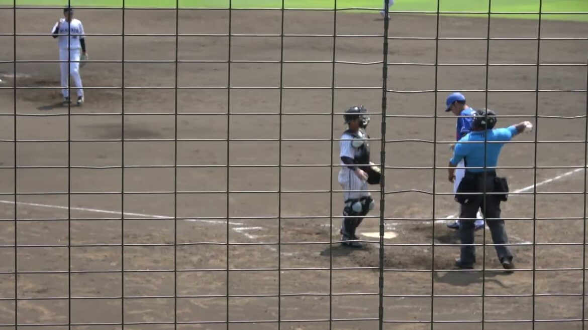 【バットが折れる】中日ドラゴンズ 三好大倫選手 第2打席 ファーストフライ VS くふうハヤテベンチャーズ 木下幹也投手 2024/8/2 愛鷹球場