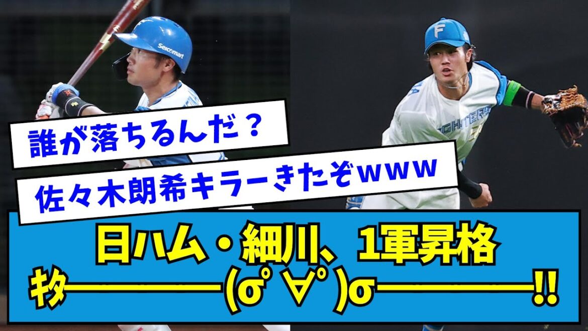 【佐々木朗希キラー】日ハム・細川凌平、1軍昇格ｷﾀ━━━━ (σﾟ∀ﾟ)σ ━━━━!!【なんJ反応】