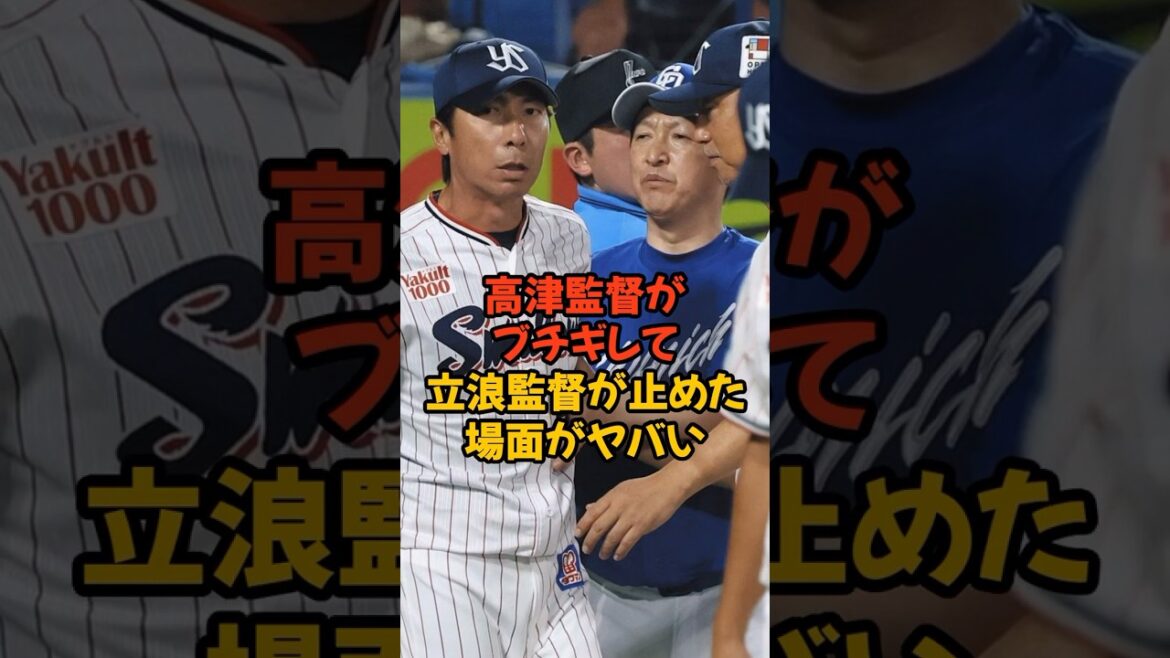 高津監督がブチギレて立浪監督が止めた乱闘未遂がヤバすぎた...