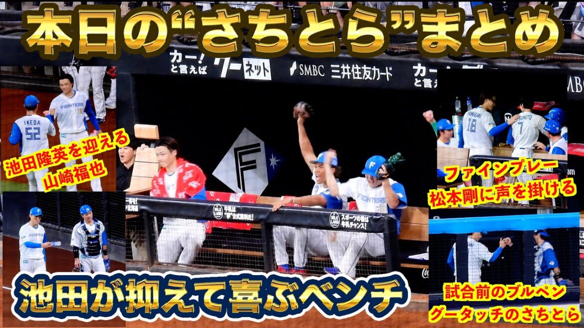【20240814】池田隆英を応援する山崎福也など“さちとら専用”