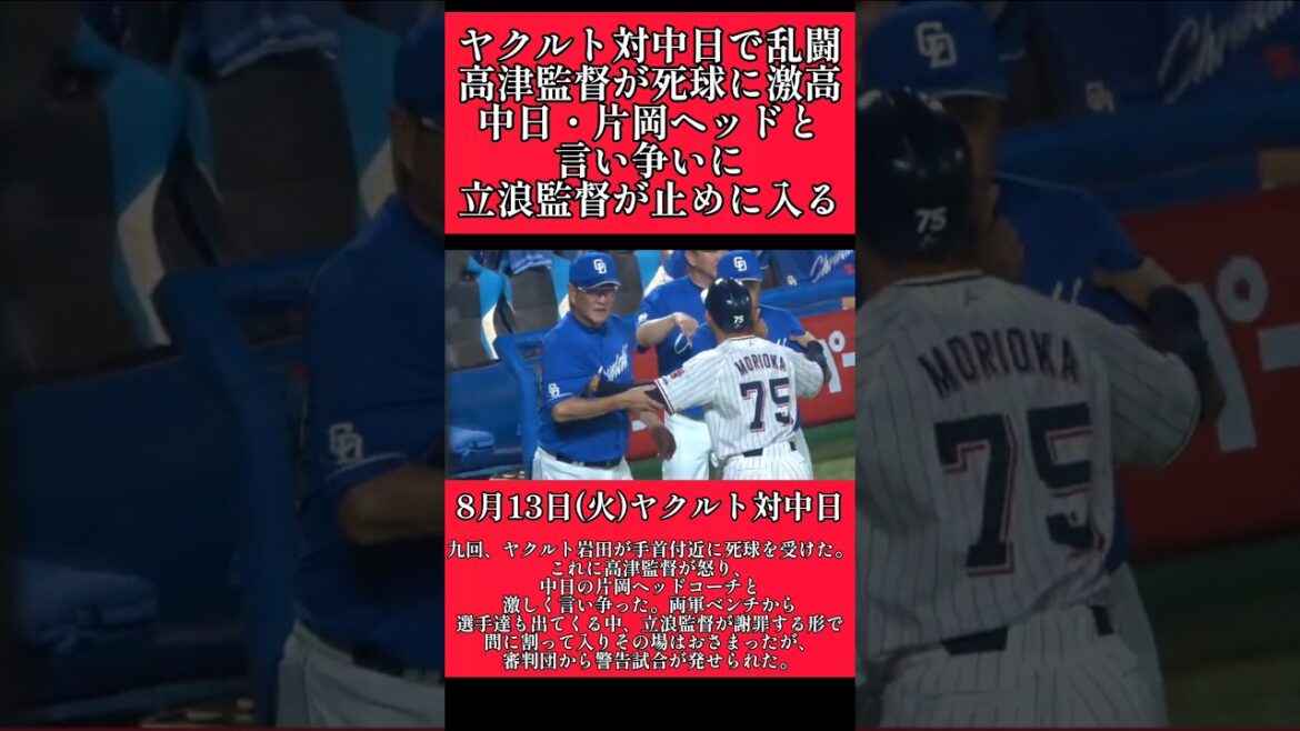 【ヤクルト】高津監督がブチギレ！中日片岡ヘッドと乱闘騒ぎ！ #東京ヤクルトスワローズ #高津臣吾  #shorts