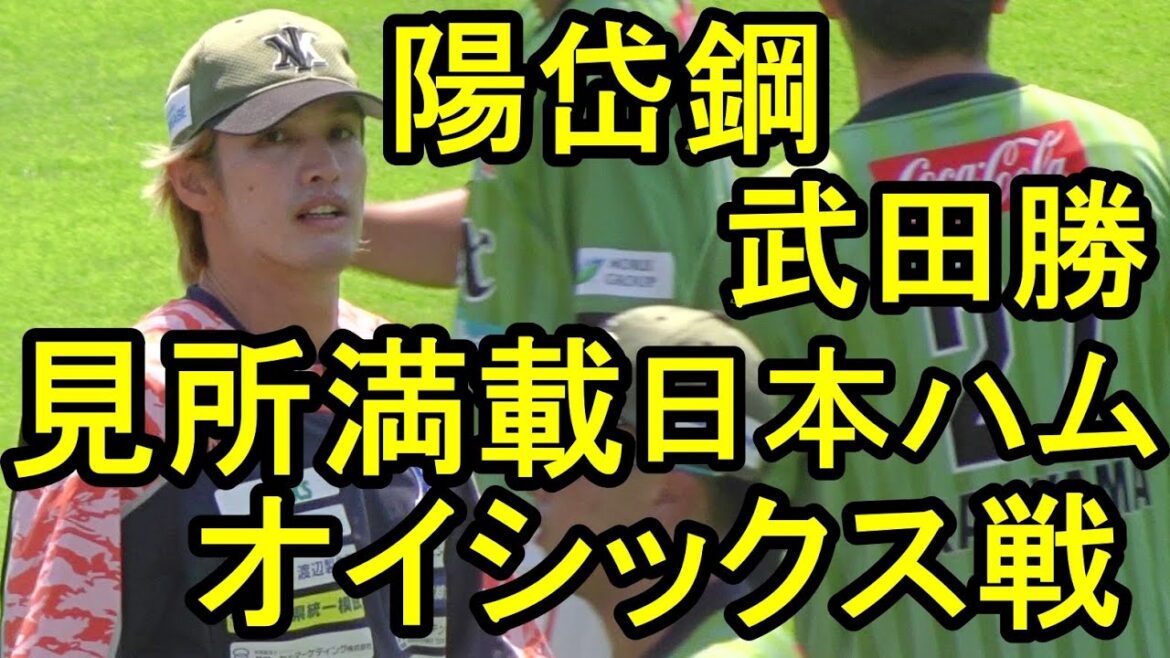 陽岱鋼武田勝 日本ハム鎌ケ谷 見所満載オイシックス戦、試合前でお腹いっぱい2024.8.12 陽岱鋼武田勝 日本ハム鎌ケ谷 見所満載オイシックス戦、試合前でお腹いっぱい2024.8.12