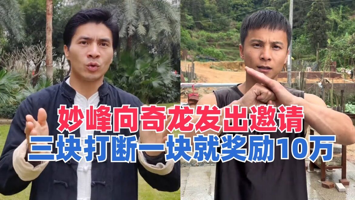 妙峰向奇龙发出邀请，三块砖只要能打断一块，就出十万元奖励奇龙