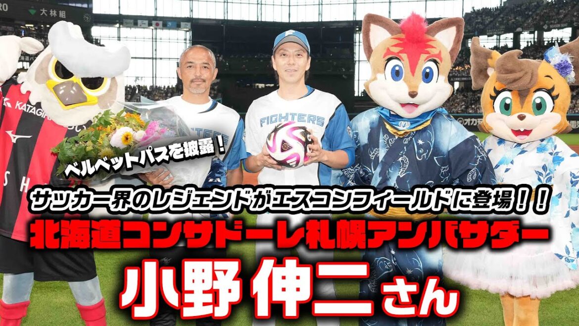 北海道コンサドーレ札幌アンバサダー 小野伸二さんがファーストピッチでベルベットパスを披露！