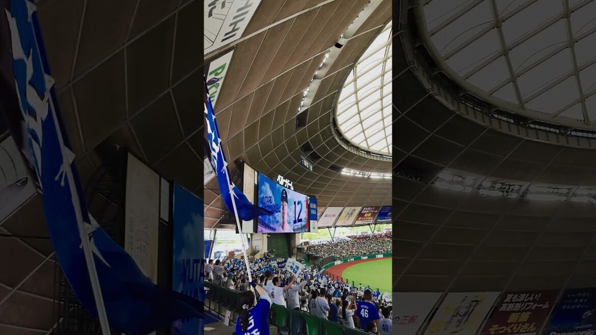 連敗脱出へ渡邉勇太朗投手が先発  熱い西武ライオンズ応援団 #seibulions