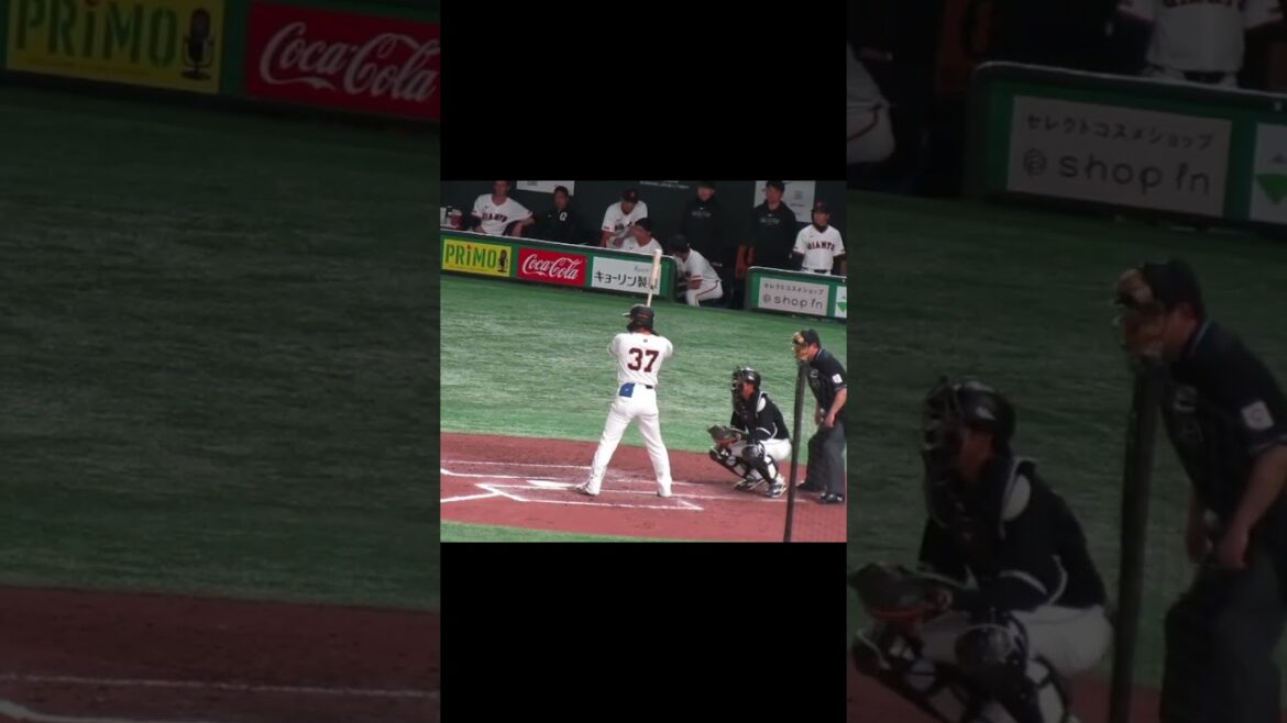 【ジャイアンツ】郡拓也のバッティングフォーム　2024年3月19日 読売ジャイアンツ対 千葉ロッテマリーンズ