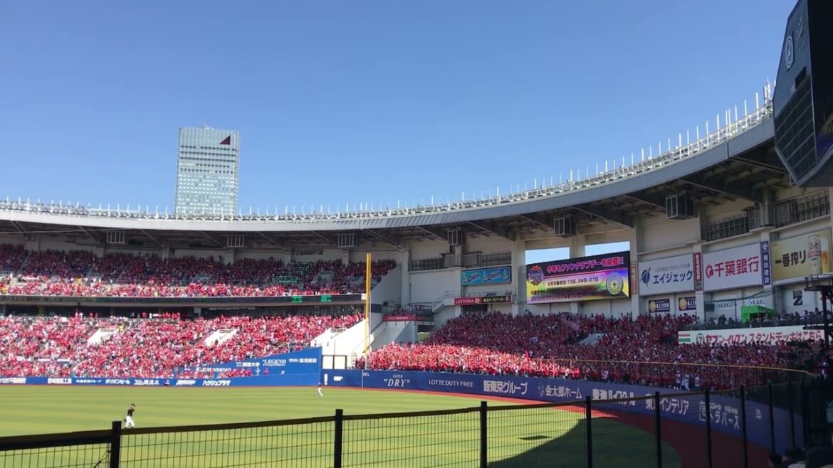 【広島東洋カープ】宮島さん　2018/6/3