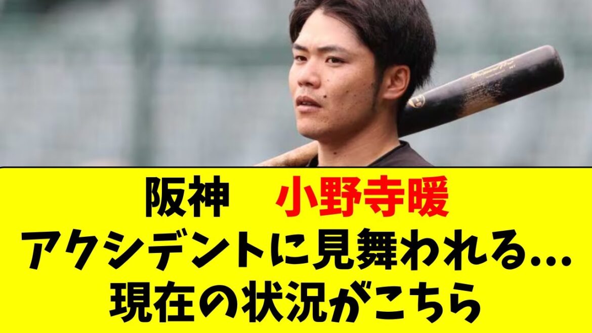 【阪神】小野寺暖の現状がこちら。アクシデント発生していた