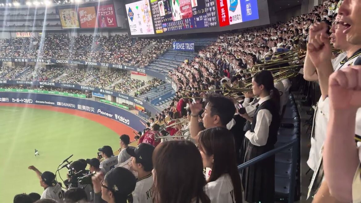 オリックス・バファローズ 杉本裕太郎 応援歌 2024/6/16 バファローズ高校 大阪桐蔭