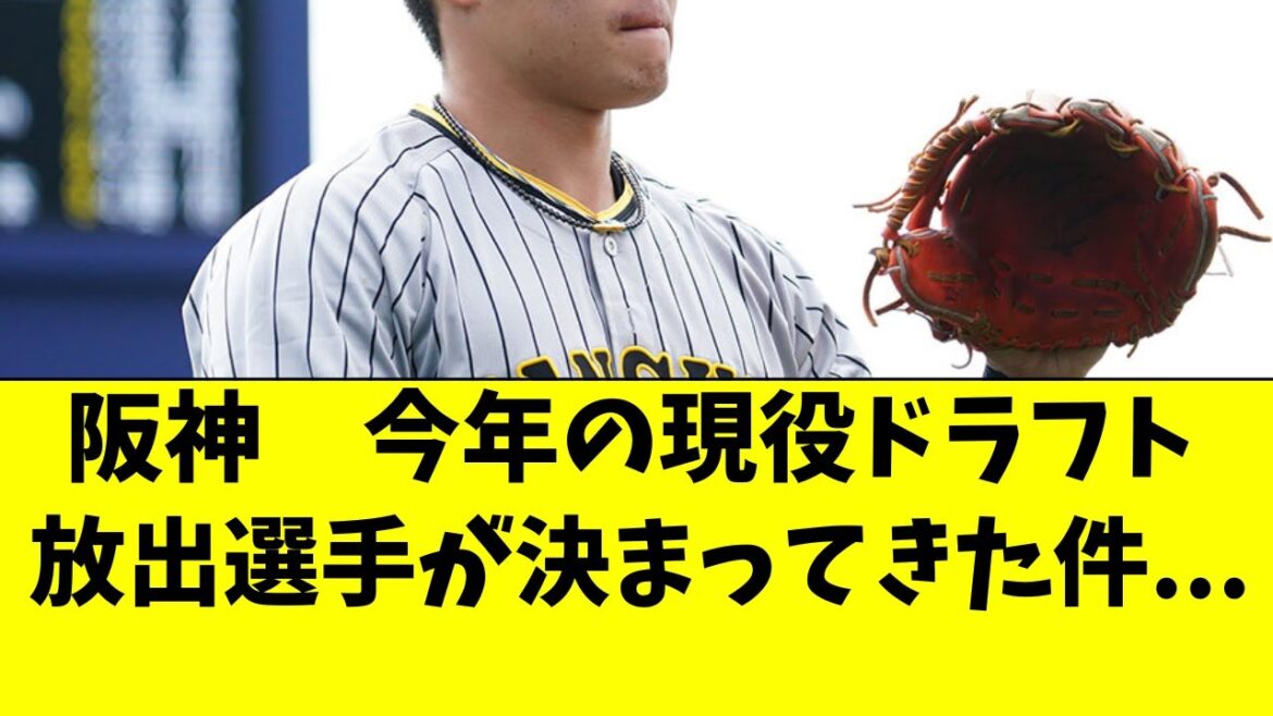 【阪神】今年の現役ドラフト候補、決まってきてしまった件