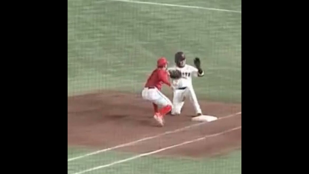 【田中広輔】ルールを熟知したプロのダブルプレーでした！