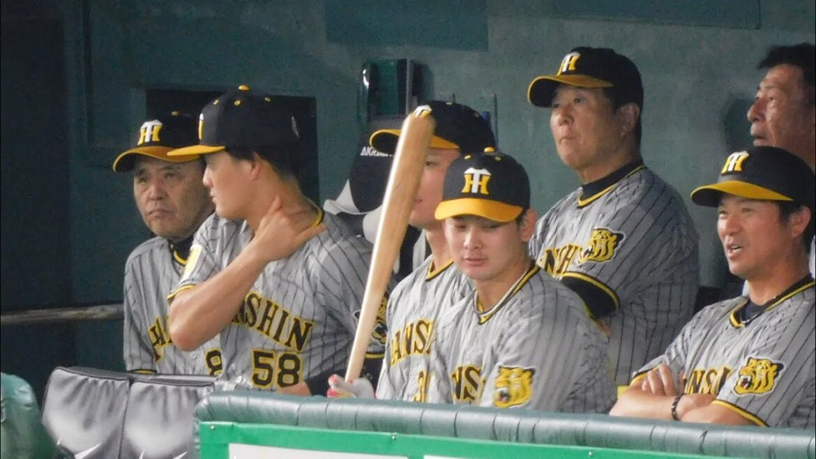 【臨戦体制】阪神 試合前ベンチの様子