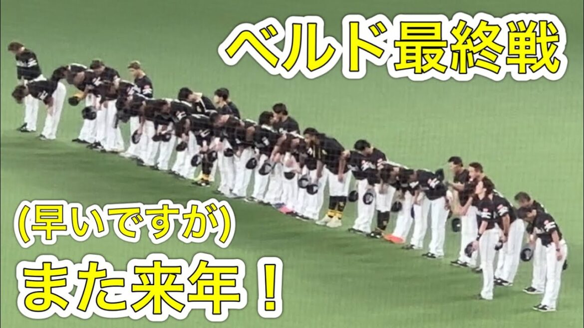 ベルーナドーム最終戦 ホークスの皆さんがライトとレフトスタンドにご挨拶【西武vsソフトバンク】2024/8/15【今シーズンもありがとうございました】 ベルーナドーム最終戦 ホークスの皆さんがライトとレフトスタンドにご挨拶【西武vsソフトバンク】2024/8/15【今シーズンもありがとうございました】