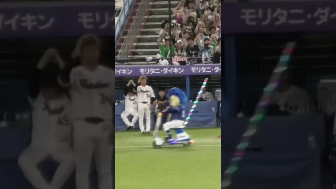 #shorts #東京ヤクルトスワローズ