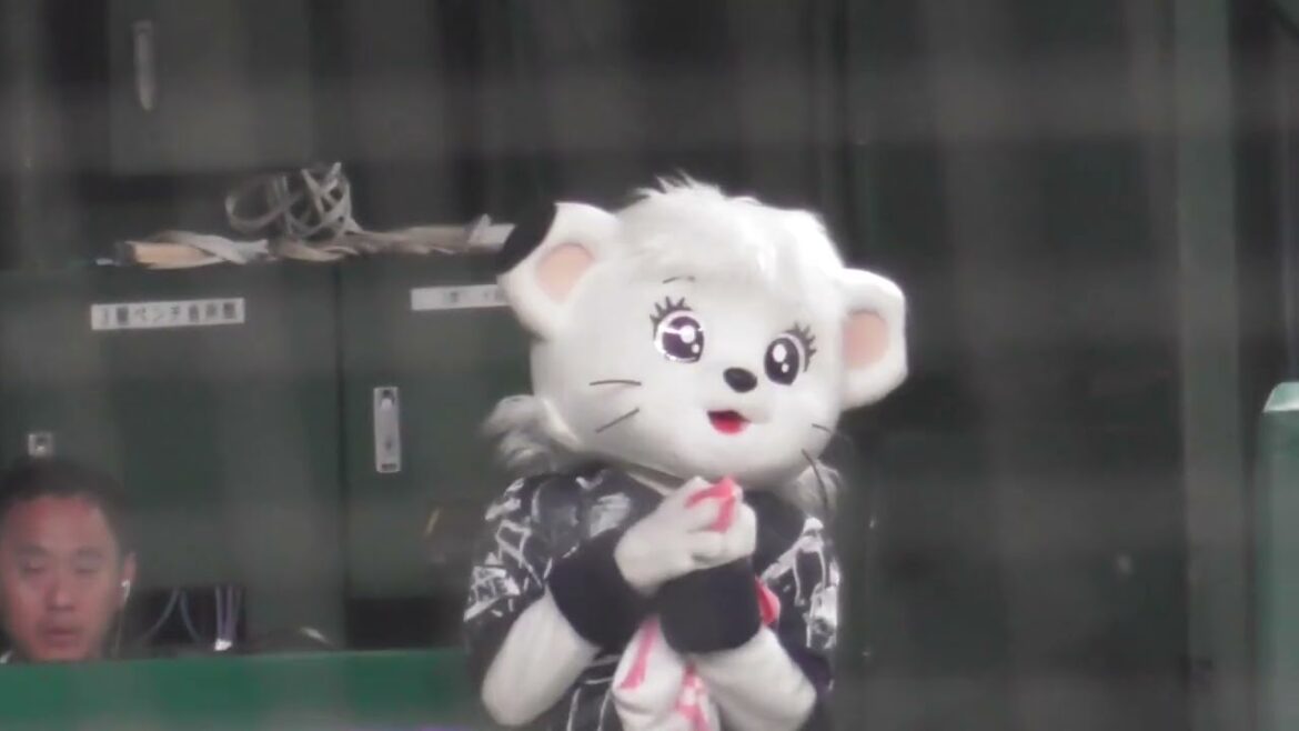 【ベンチの中のライナ】ベルーナドーム 西武vsソフトバンク 2024/08/14 【ベンチの中のライナ】ベルーナドーム 西武vsソフトバンク 2024/08/14