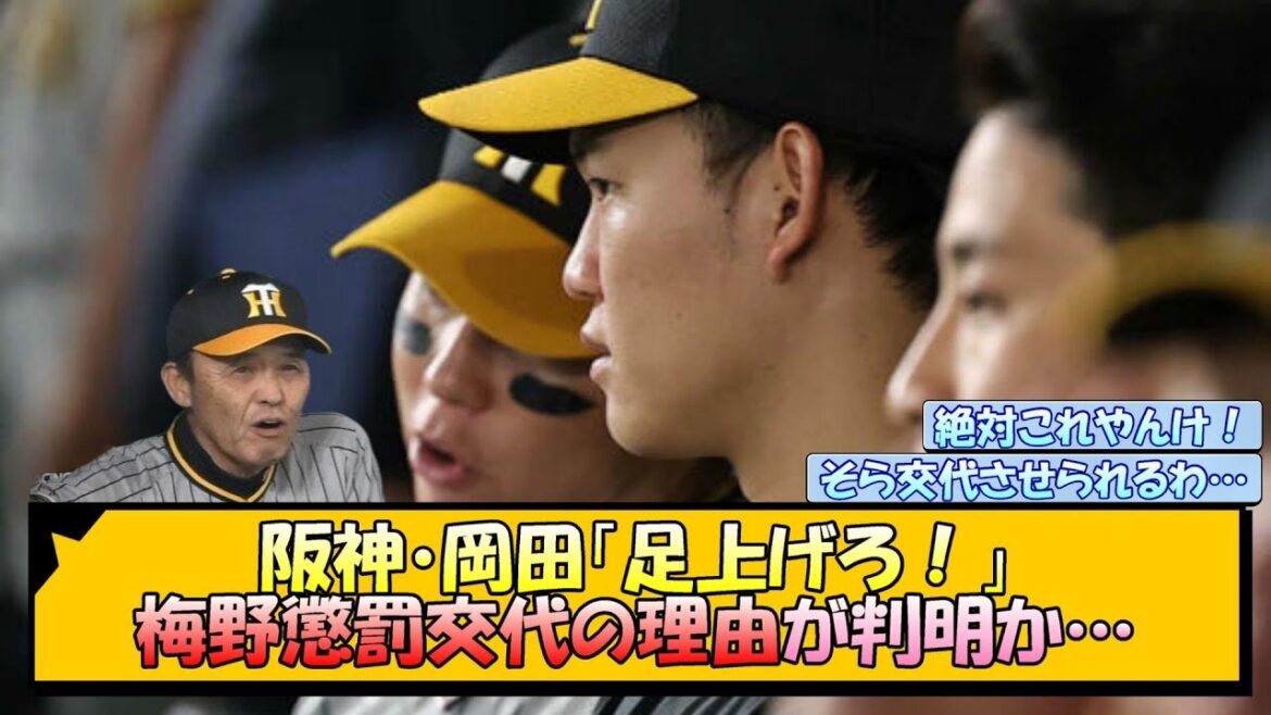 阪神・岡田「足上げろ！」 梅野＆及川懲罰交代の理由が判明か…【なんJ/2ch/5ch/ネット 反応 まとめ/阪神タイガース/岡田監督/梅野隆太郎/及川雅貴】