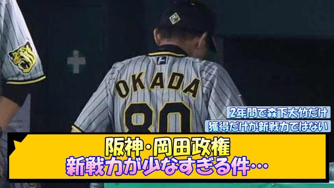 阪神・岡田政権 新戦力が少なすぎる件…【なんJ/2ch/5ch/ネット 反応 まとめ/阪神タイガース/岡田監督】