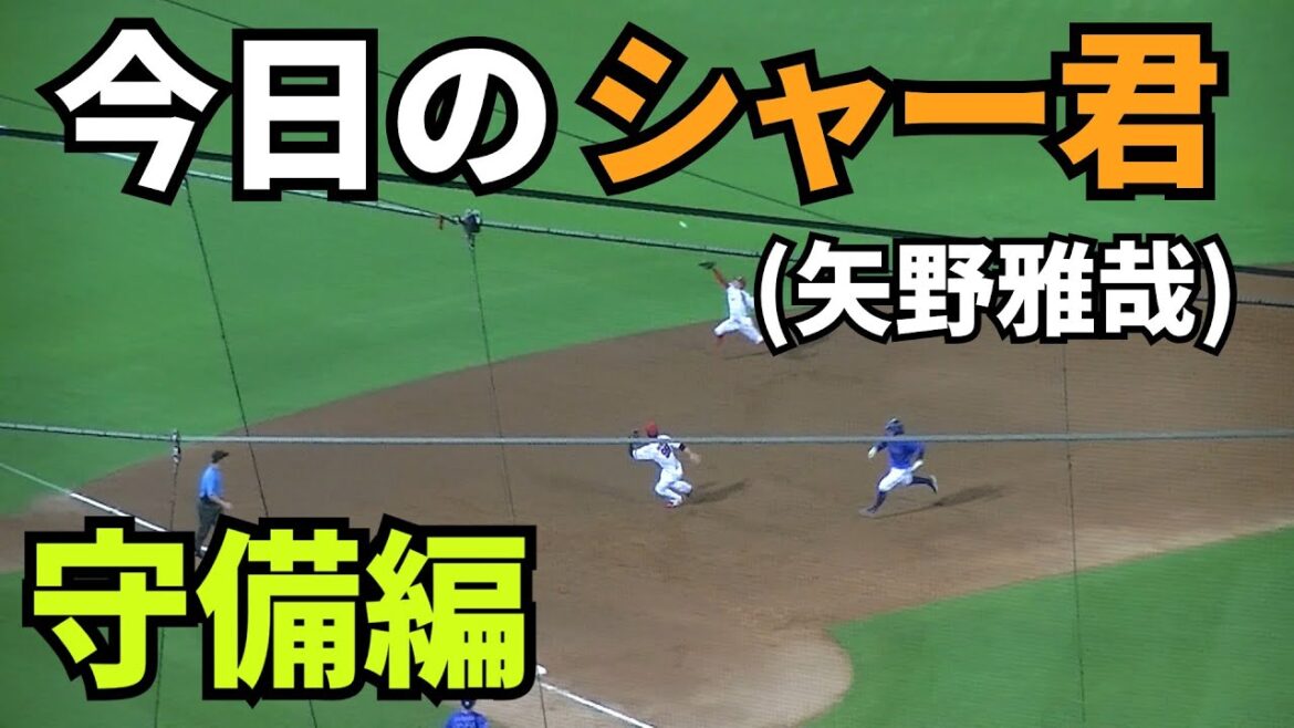 【現地撮影映像】今日のシャー君(矢野雅哉)　守備編。9回は、素早い動きで3塁走者をタッチアウト、試合終了。 　2024年8月12日 vs DeNA