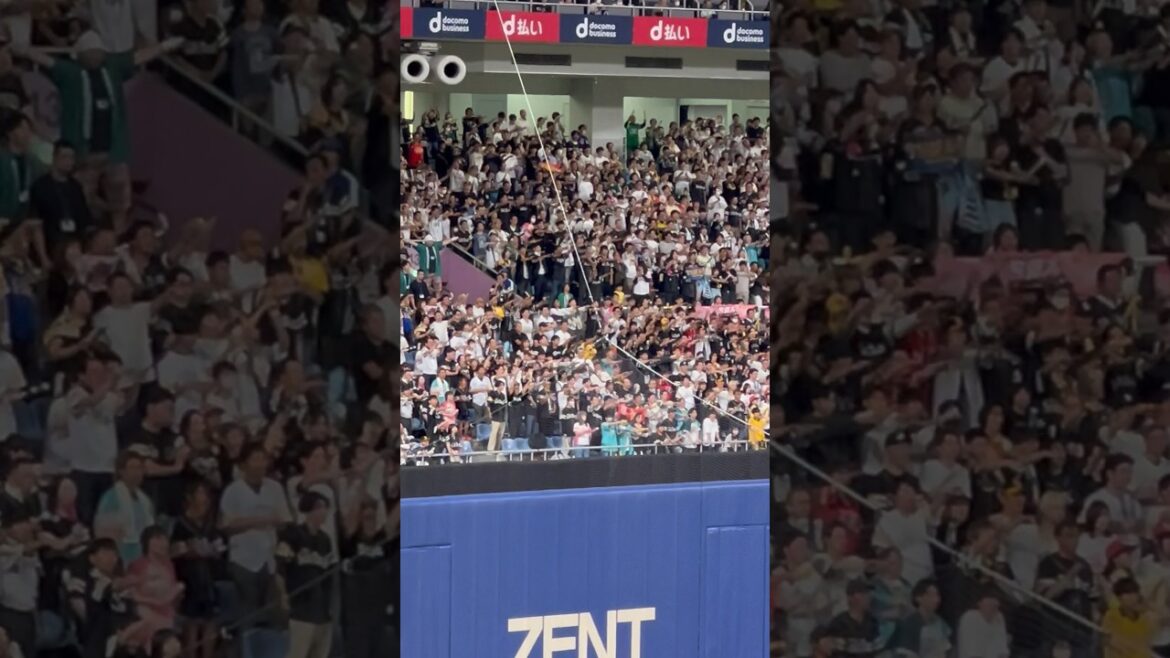 調子に乗り始めた🥲ソフトバンクファン🫨