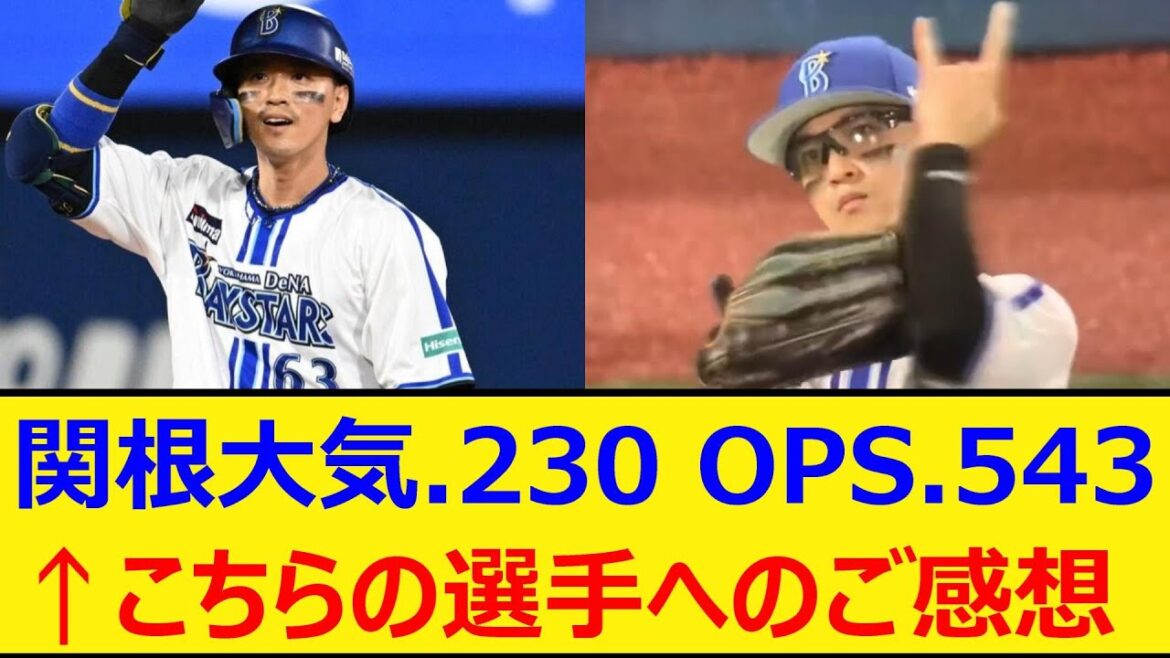 DeNA関根大気.230 0本 OPS.543←こちらの選手へのご感想【プロ野球、なんj、なんg反応】【野球、2ch、5chまとめ】【横浜DeNAベイスターズ、ベイスターズ、関根、横浜ベイスターズ】