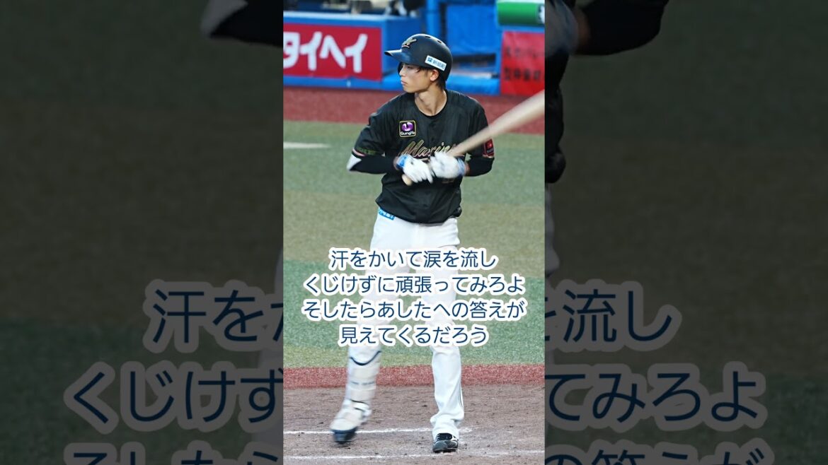 和田康士朗選手　応援歌(若手汎用)